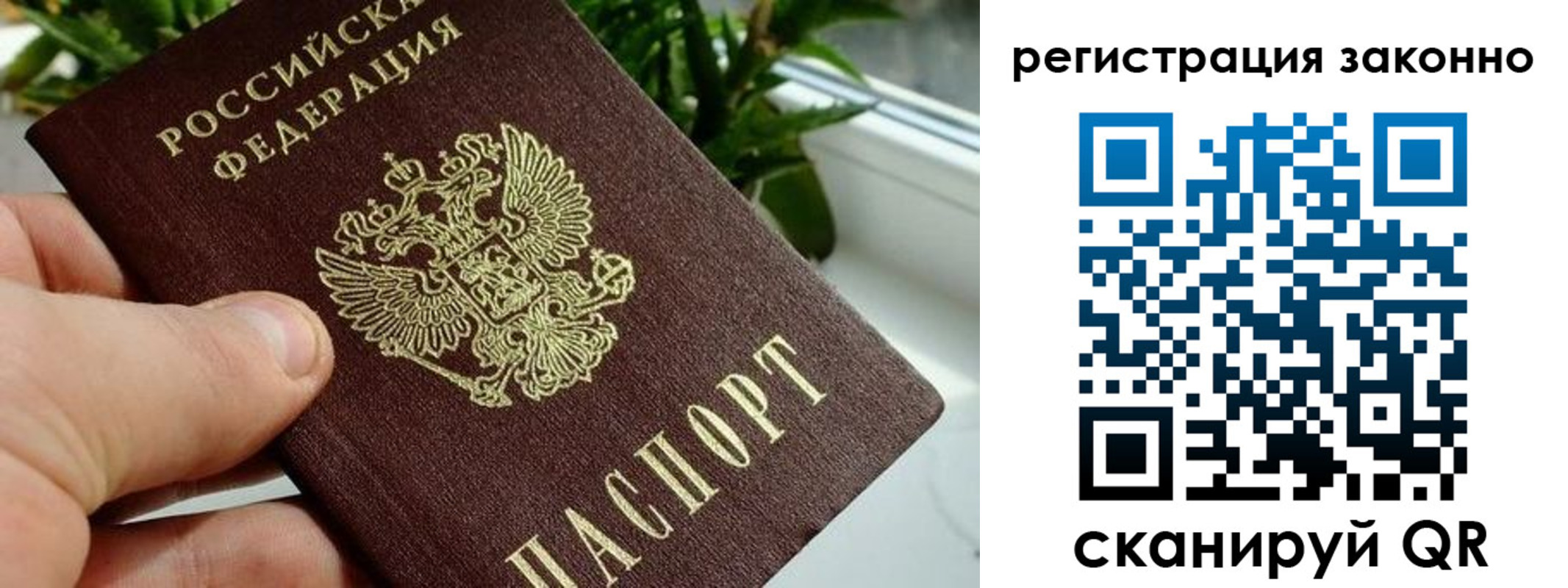 прописка гарантия в Урюпинске